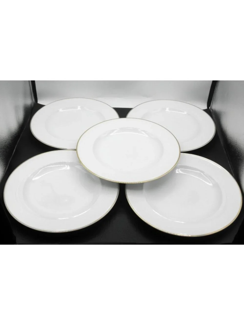 PBA63 by Pottery Barn 10-3/8 Inch Dinner Plates Set of 5 Pattern Code: PBA63